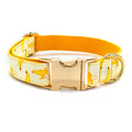 Yellow Banana Dog Traction Rope Pet Collar Pet Supplies Can Be Engraved With Gold Metal Buckle 1.5m Rope